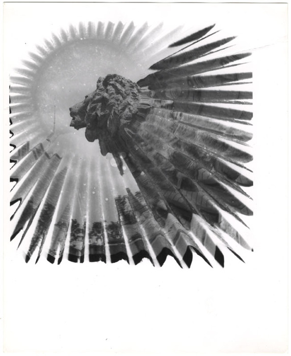 Lion Statue (distortion)