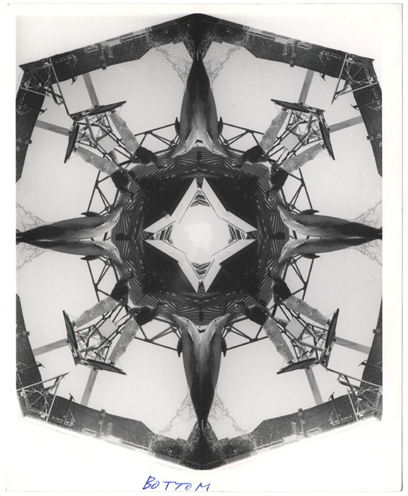 Dolphin show (distortion)