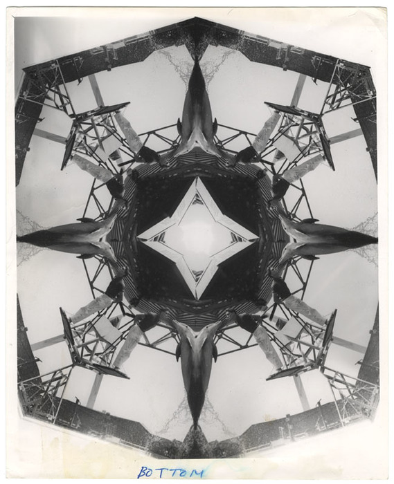 Dolphin show (distortion)