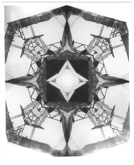 Dolphin show (distortion)