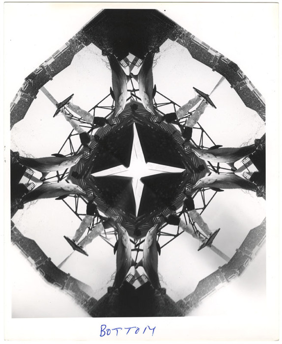 Dolphin show (distortion)