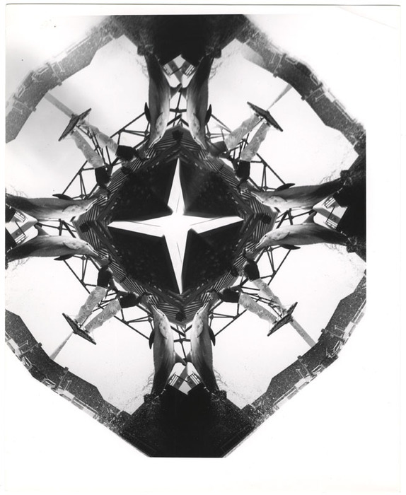 Dolphin show (distortion)