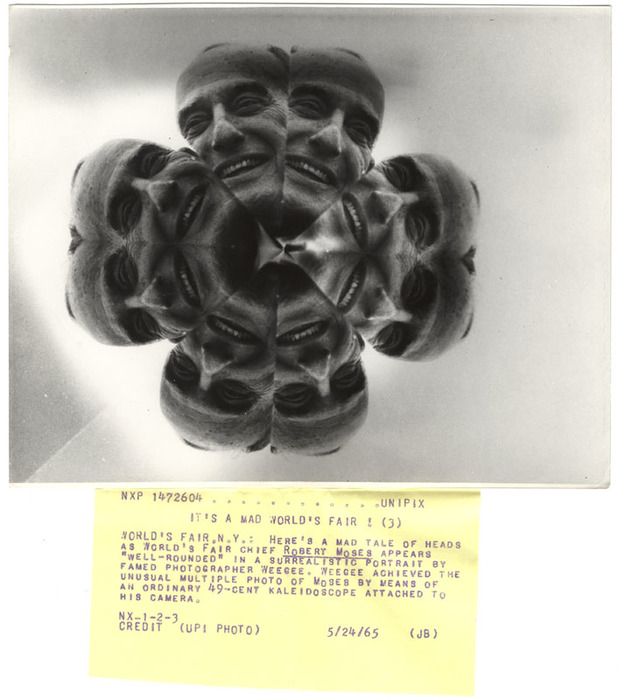 Robert Moses (distortion)