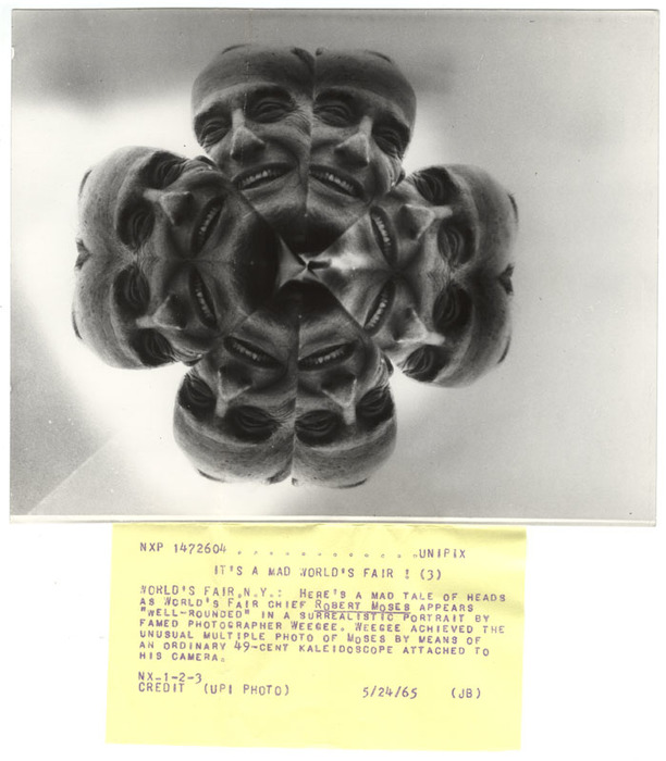 Robert Moses (distortion)