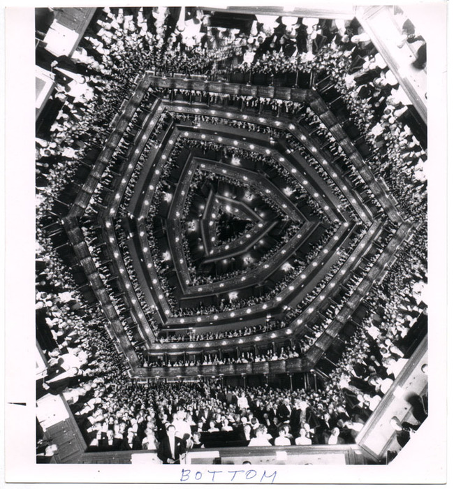 Audience (distortion)