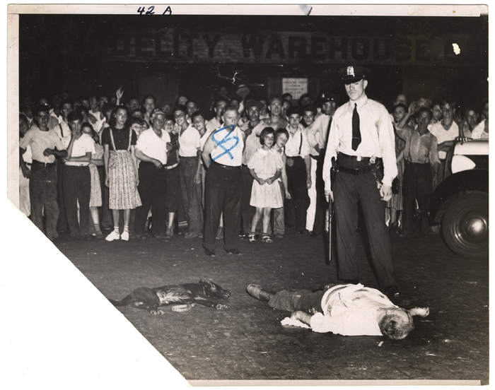 Man + dog killed Hit + run, South St.