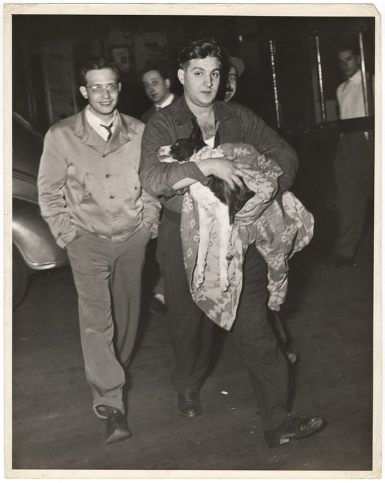 Mongrel Pup Almost Dies Saving 16 Families in Fire