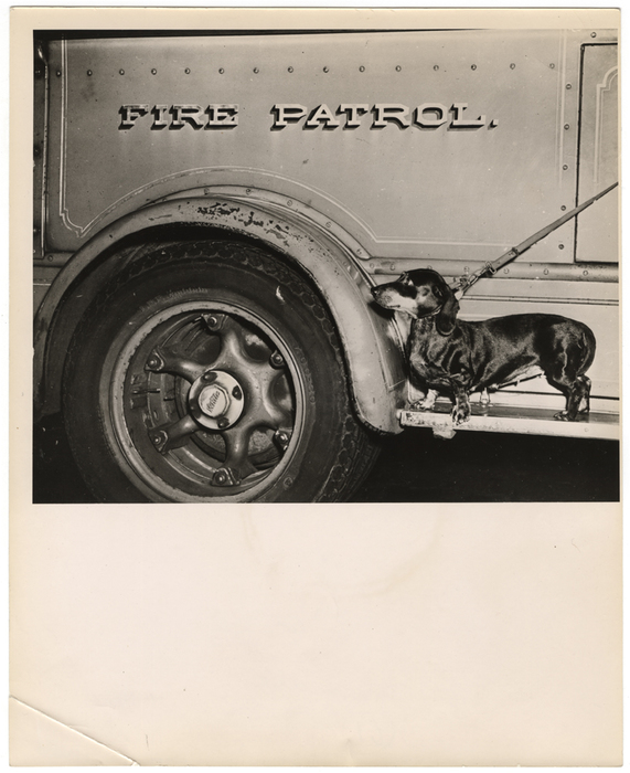"The sirens also brought these girls, GI's, a dachshund and hundreds of others to the scene. The dog hid in a fire wagon."