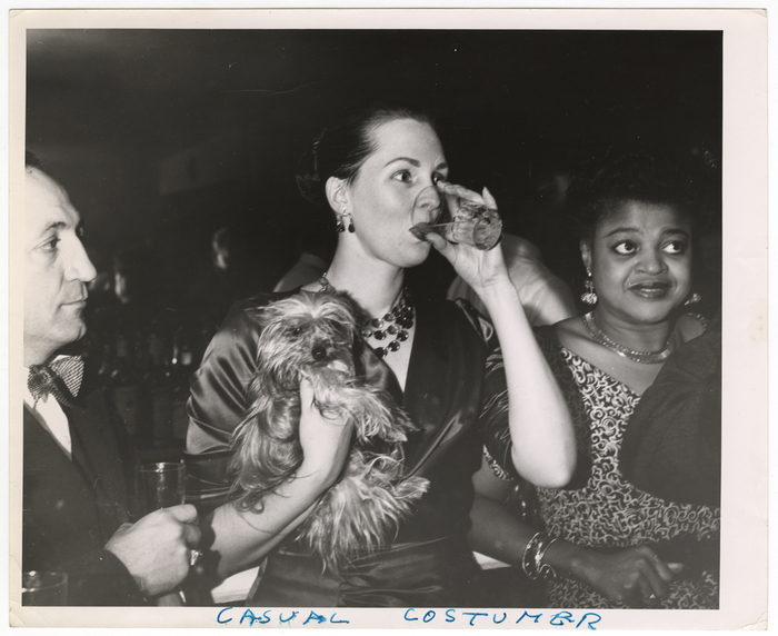 Casual Drinker, Vanguard