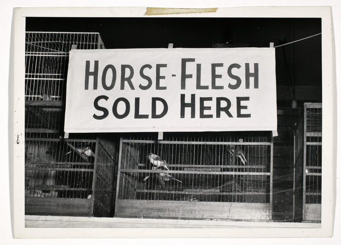 [Horse-Flesh Sold Here]