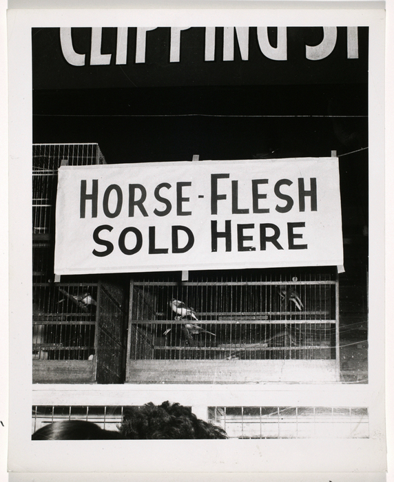 [Horse-Flesh Sold Here]