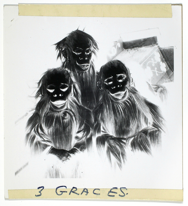 3 Graces