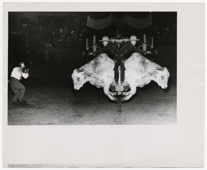 [Weegee photographing distorted man riding a bull]