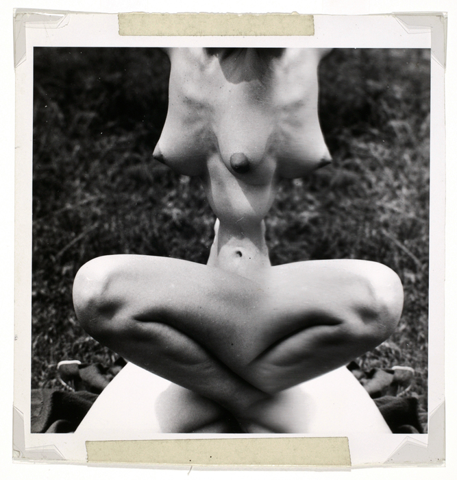 [Female nude distortion]