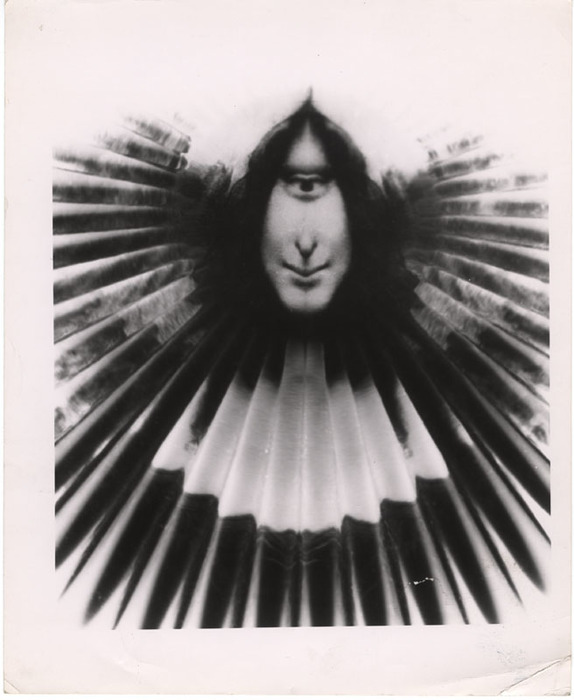 [Mona Lisa distortion]