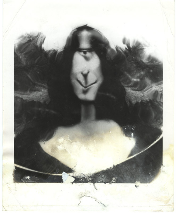 [Mona Lisa distortion]