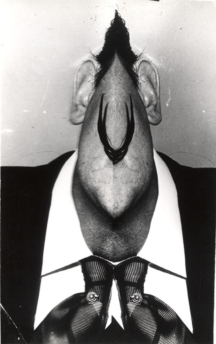 [Salvador Dalí distortion]