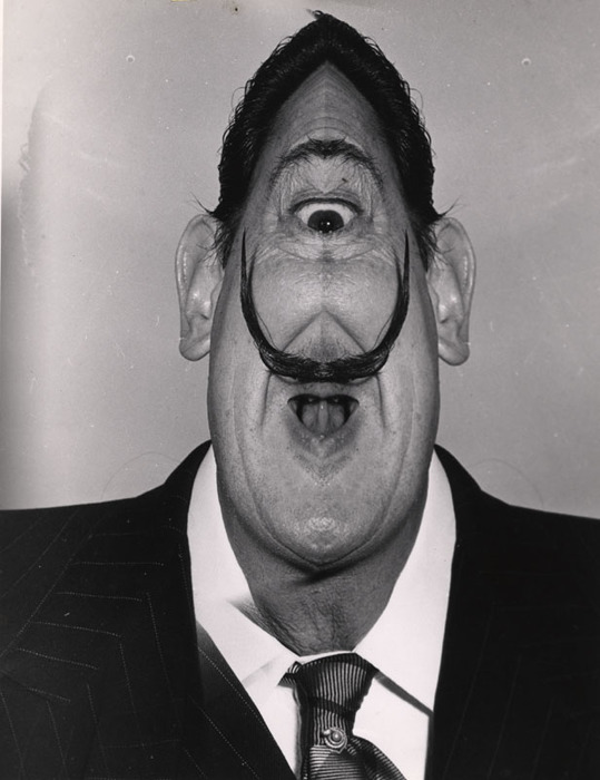 [Salvador Dalí distortion]