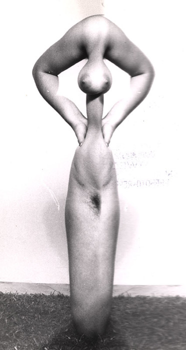 [Female nude distortion]