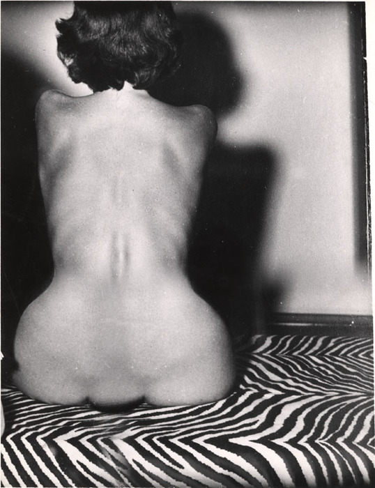 [Female nude distortion]