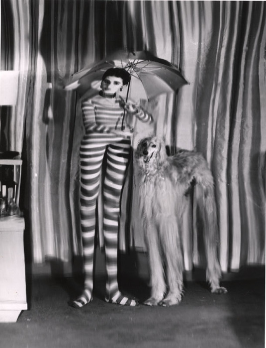 (Model wearing striped jumpsuit, with dog and umbrella)