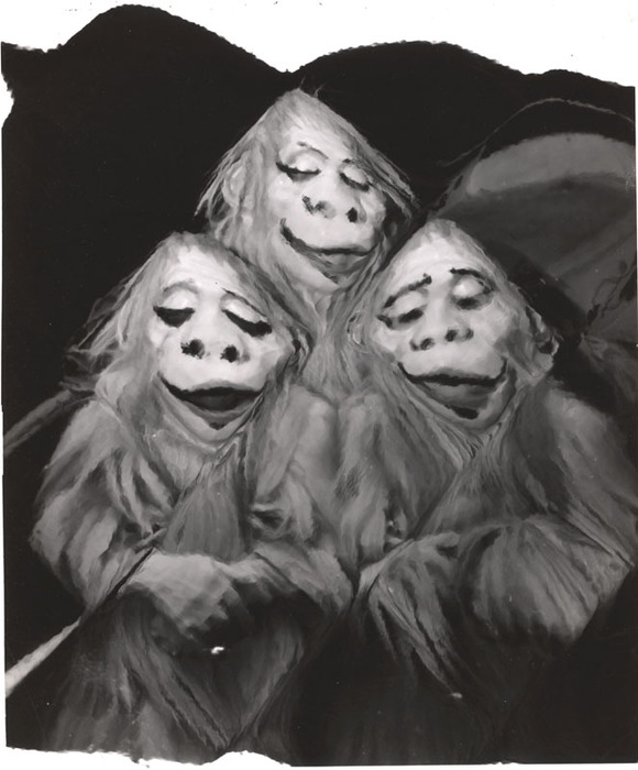 The 3 Graces, at Circus