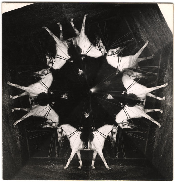 [Circus performer with horse distortion]