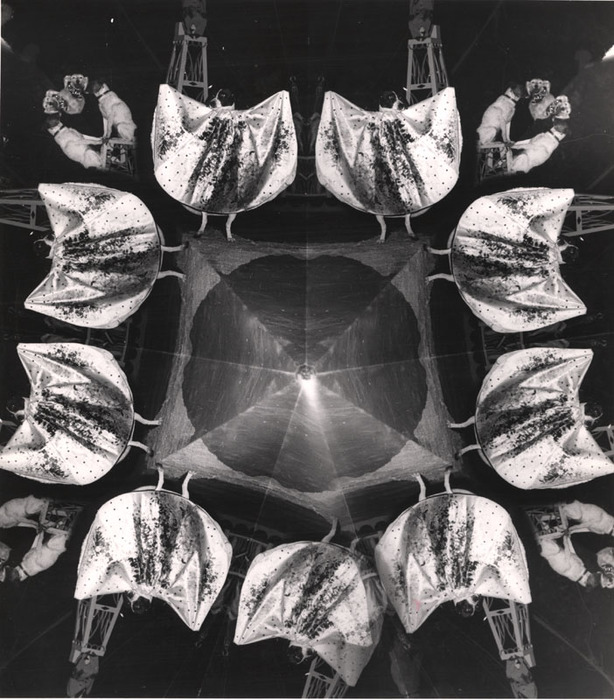 Circus Dogs, "Miss Judy"