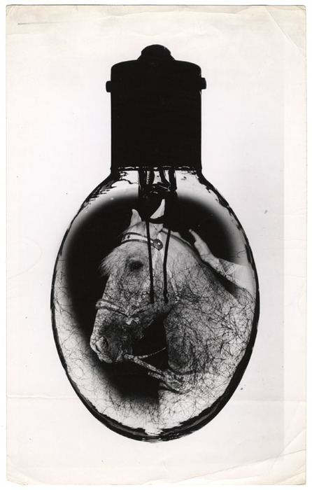 [Trigger in a flashbulb]