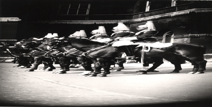 [Changing the Guard distortion]