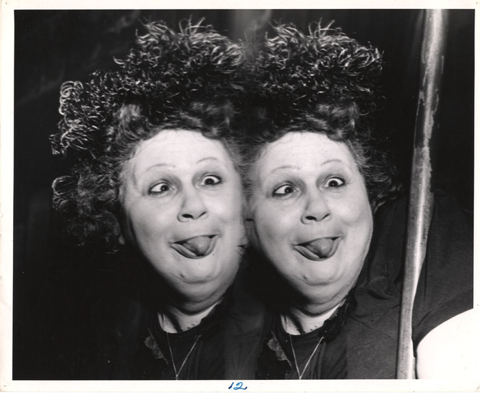 Daisy Lewis, Entertainer