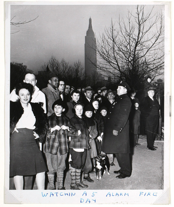 Afternoon... they are watching me take their picture... and also a fire.