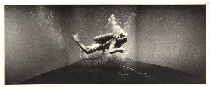 Widescreen image of a scuba diver