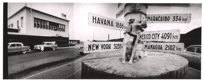 [Widescreen image of dog sitting on base of street sign indicating distance to various cities in Louis de Rochemont's film "Windjammer"]