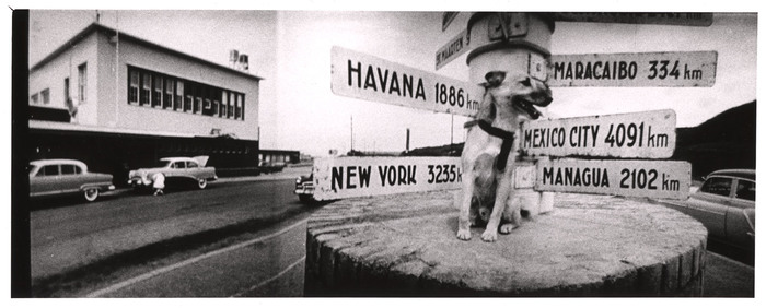[Widescreen image of dog sitting on base of street sign indicating distance to various cities in Louis de Rochemont's film "Windjammer"]