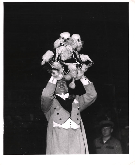 Man holding two dogs in a circus