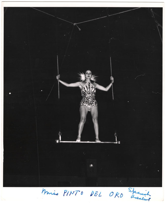 Miss Pinto Del Oro, Spanish Arealist