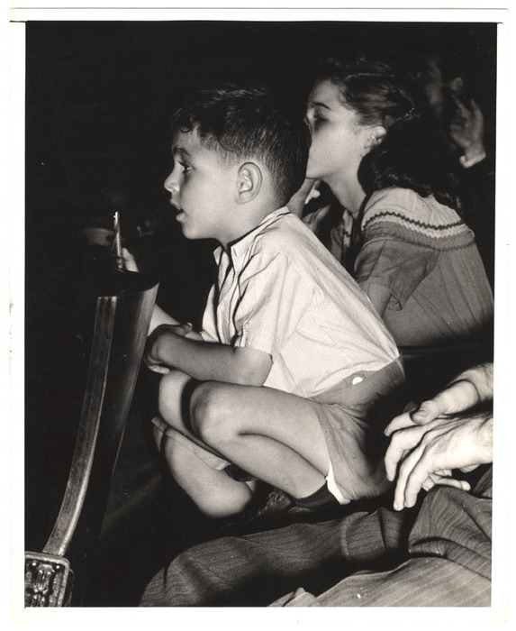 Circus audience members