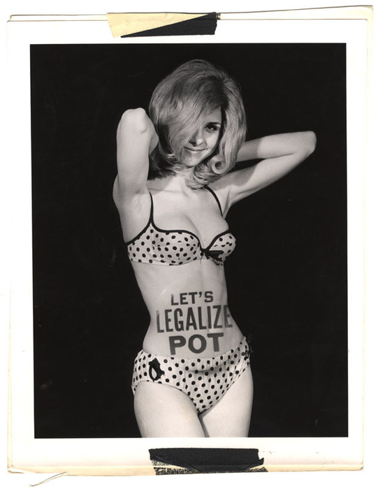 [Let's Legalize Pot]