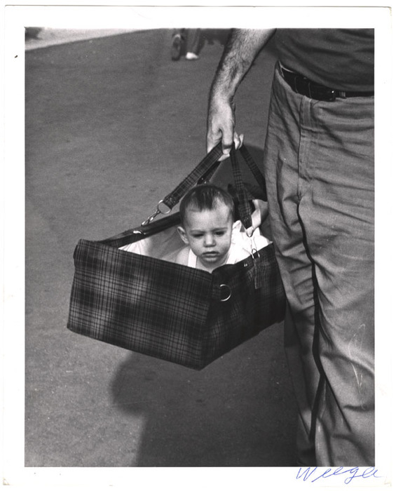 Baby boy in a basket