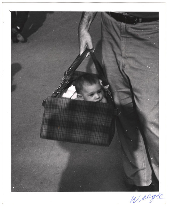 Baby boy in basket