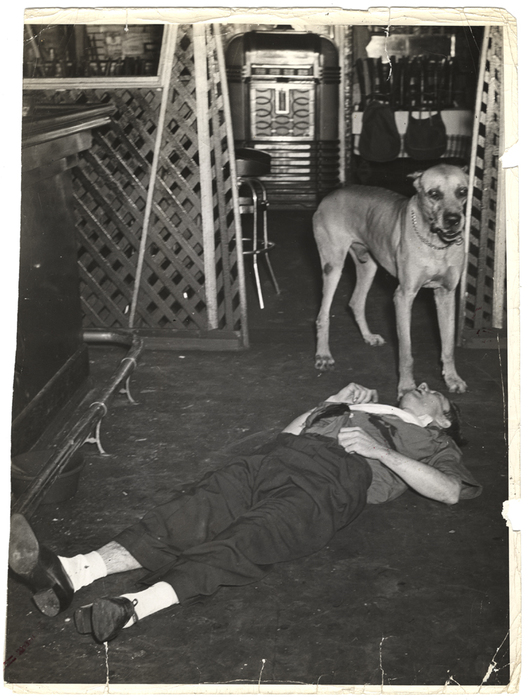 [Rocco the Great Dane with body of chef Luigi Rivieccio]