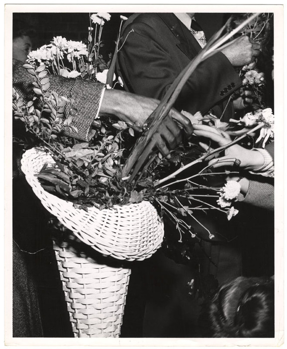 Hands touching in flowers