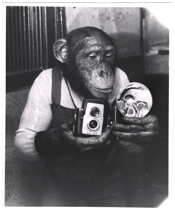 [Hypo, Weegee's assistant]