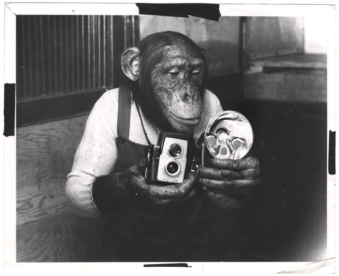 [Hypo, Weegee's assistant]