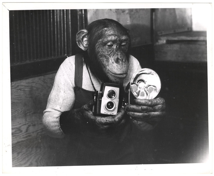 [Hypo, Weegee's assistant]