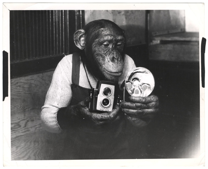 [Hypo, Weegee's assistant]