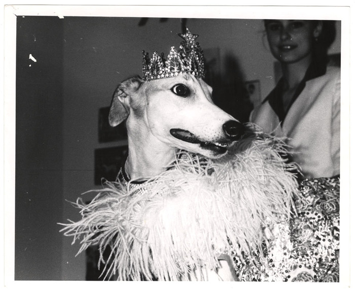 [Lady Greyhound, the Pompous Pooch]