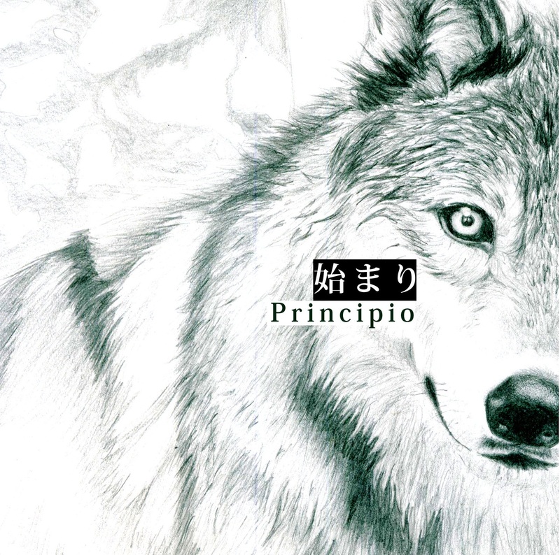 Principio