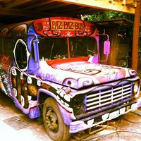 PAZ PAZ BUS: CARAVANA INTEGRAL